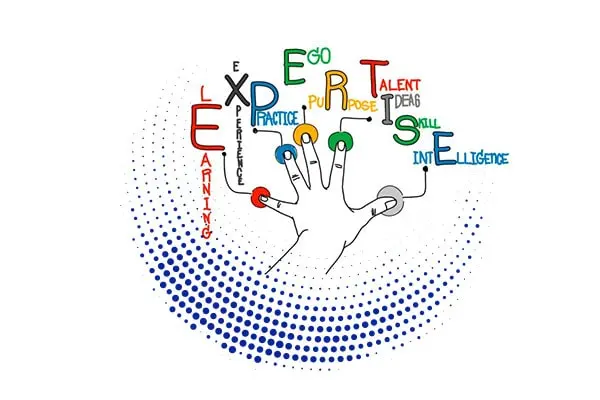 MWD-Website-Search-Engine-Optimization-Services-Pocket-Friendly